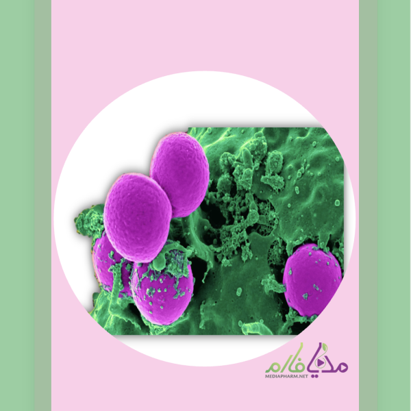 Antibiotic Therapy of Common Infectious Diseases دوره ی آموزشی آنتی بیوتیک تراپی