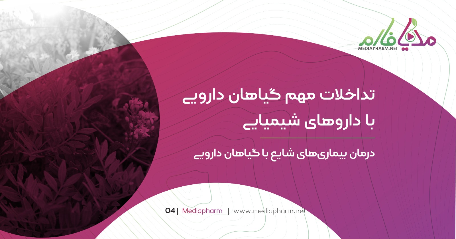 تداخلات مهم گیاهان دارویی با دارو های شیمیایی