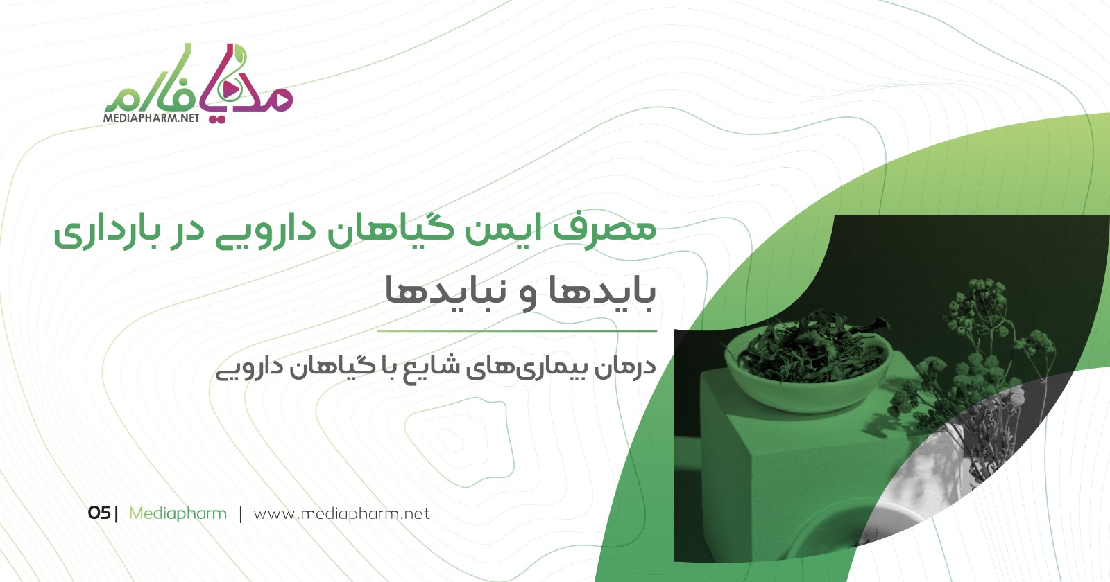 مصرف ایمن گیاهان دارویی در بارداری باید ها و نباید ها