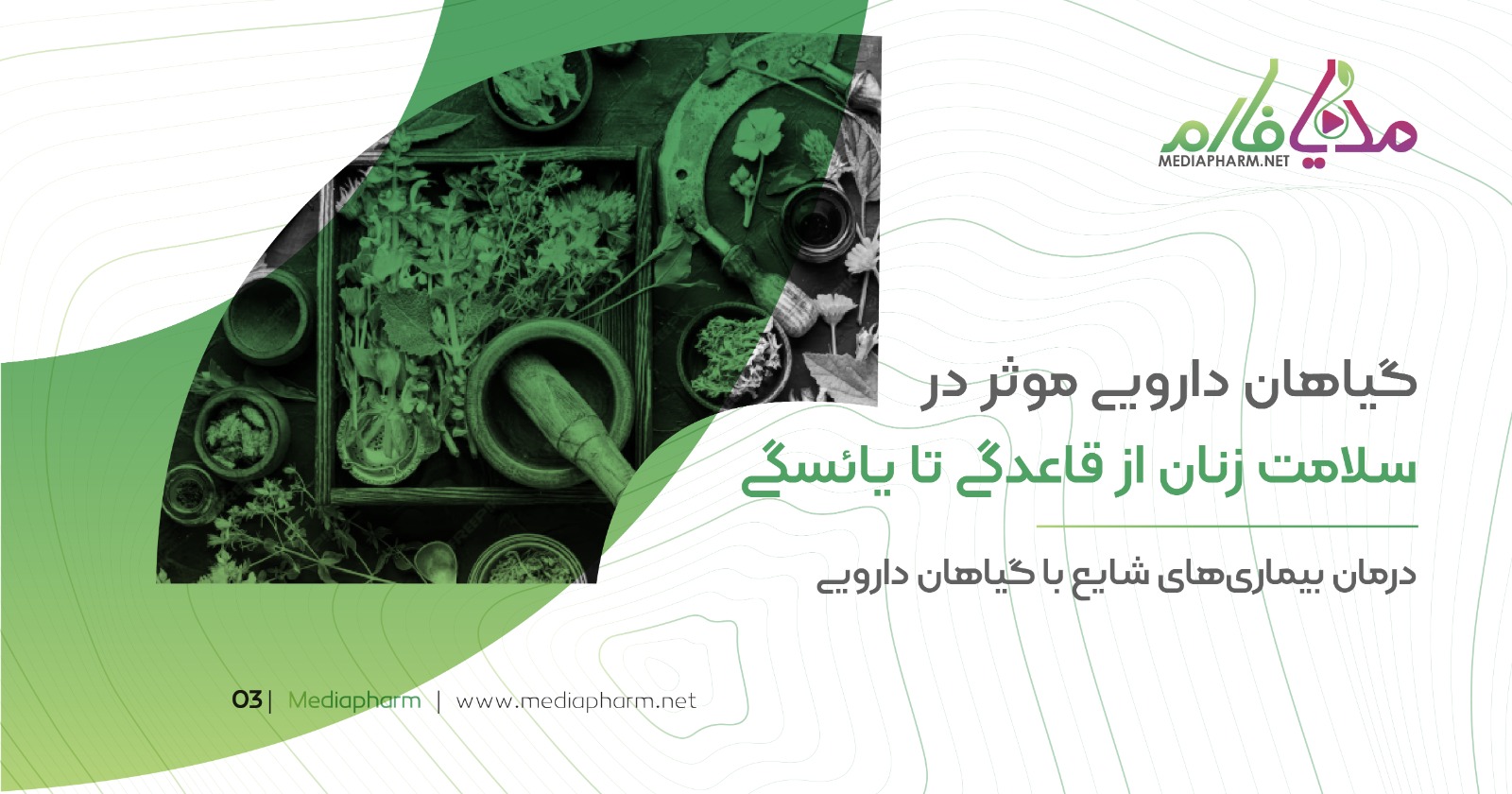 گیاهان دارویی موثر در سلامت زنان از قائدگی تا یائسگی