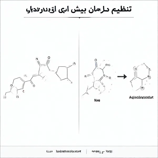 تنظیم درمان پیش از بارداری infographic 2